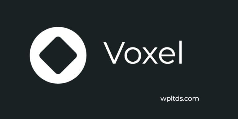 Voxel Ltd Feature
